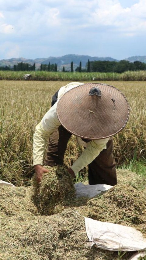 Nengah hanya seorang anak keluarga petani dan pedagang desa yang bertekad merantau ke Denpasar untuk mengubah nasib.