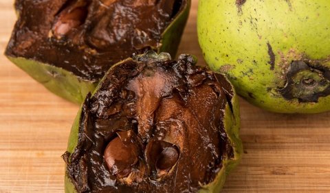 Kandungan Gizi Black Sapote