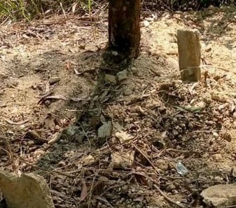 Heboh Gundukan Tanah Mirip Makam di Kebumen, Setelah Dibongkar Ini Isinya