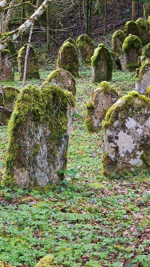 Heboh Gundukan Tanah Mirip Makam di Kebumen, Setelah Dibongkar Ini Isinya