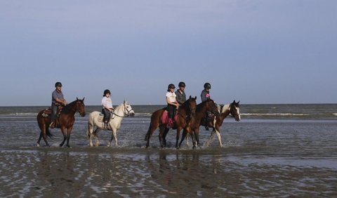 Fasilitas Wisata Pelabuhan Ratu