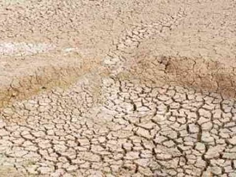 Rawan Terdampak El Nino, Pemprov Jateng Lakukan Intervensi Ini