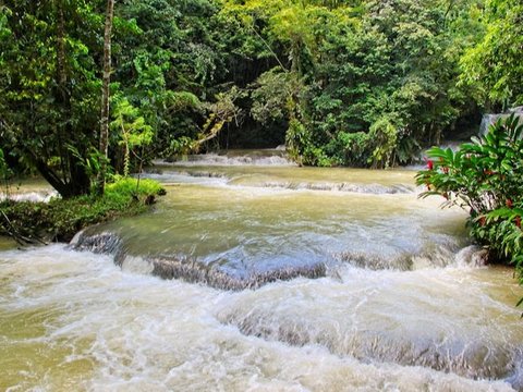 Perempuan Situbondo Meninggal Tertimbun Lumpur di Belakang Rumah, Ini Fakta di Baliknya