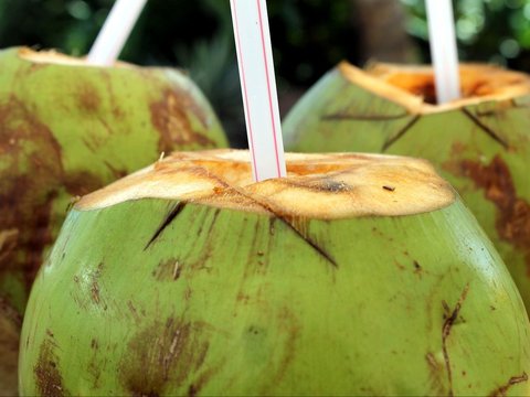 Minum Air Kelapa