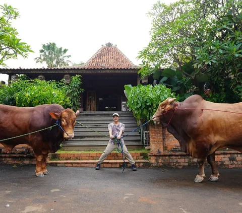 Irfan Hakim Unggah Foto Dua Sapi Peliharaannya Jelang Kurban, Bikin Haru Warganet