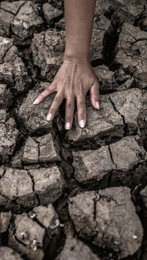Probolinggo Terancam Kekeringan dan Krisis Air Bersih, Warga Terpaksa Minum Air Kubangan Sungai