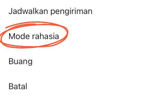 Cara Mengirim Email Rahasia Pakai Gmail, Berikut Langkah-langkahnya