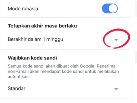 Cara Mengirim Email Rahasia Pakai Gmail, Berikut Langkah-langkahnya