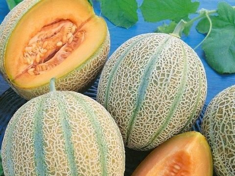 Potret Kebersamaan Gubernur Jatim Bareng Cucu di Masjid Agung Surabaya, Tanam Bibit Buah hingga Panen Melon