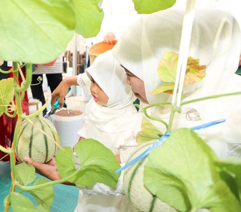 Green House MAS dirancang sebagai sarana belajar pertanian untuk masyarakat. Keberadaannya membuktikan bahwa mengembangkan sektor agrikultur modern di lahan terbatas bukan hal mustahil.