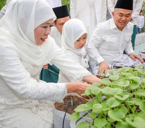 Usai menjalannya salat ied, Khofifah mengajak cucunya, Aila menanam bibit sekaligus panen melon di halaman Masjid Agung Surabaya (MAS). Aila tampak antusias melakukan kegiatan tersebut.