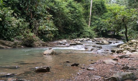 Satu dari 7 Gunung yang Memiliki Ketinggian di Atas 3.000 Mdpl