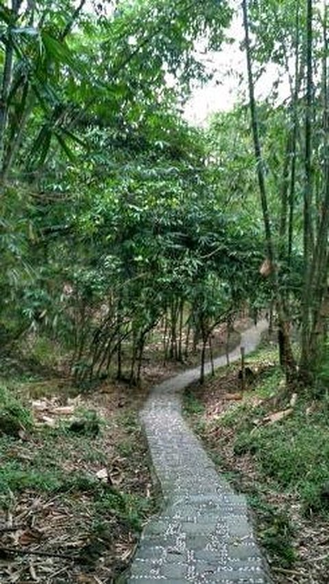 Desa Cibuntu merupakan salah satu desa yang berada di kaki Gunung Ciremai, Kabupaten Kuningan. Dulunya desa itu merupakan desa tertinggal.