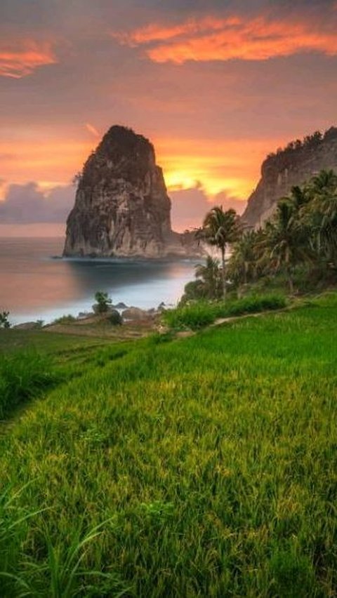 Pacitan dikenal memiliki ragam wisata pantai yang indah. Salah satunya Pantai Pangasan.