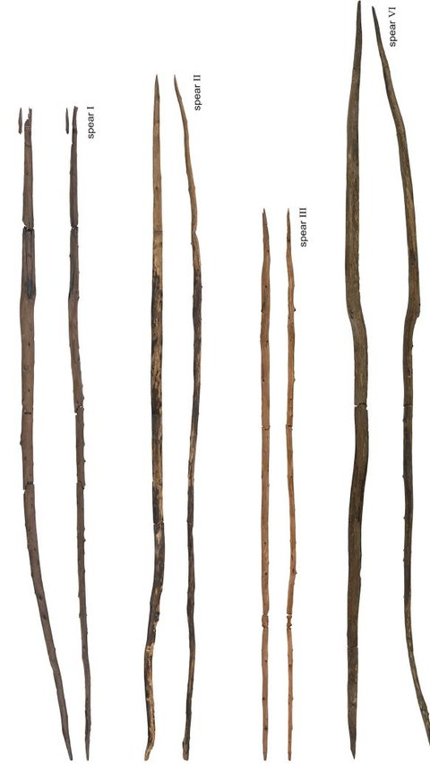 Artefak berupa kayu dengan usia ratusan ribu tahun sangat jarang ditemukan karena kayu sangat mudah membusuk dan hancur.