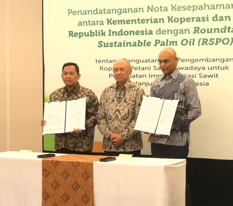 Kemenkop UKM Gandeng RSPO Kembangkan Koperasi Petani Sawit di Indonesia