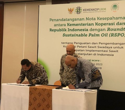 Adapun dengan kerja sama bersama RSPO, Teten berharap kesejahteraan petani sawit di Indonesia bisa meningkat, tidak hanya menjual TBS pada industri tapi mereka bisa mengolah sendiri sampai minyak makan merah.