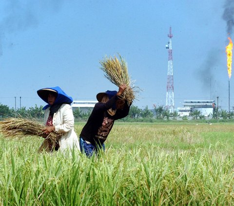 VP Marketing Business Partner Korporasi Pupuk Kaltim, Indah Febrianty mengungkapkan, keikutsertaan Pupuk Kaltim pada kegiatan ini sebagai upaya meningkatkan sinergitas antar pelaku pertanian hingga Pemerintah Daerah, untuk secara bersama saling dukung dalam mendorong produktivitas hasil pertanian di Kabupaten Ponorogo.