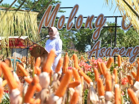 Jadi Lumbung Jagung Jawa Timur, Banyuwangi Mampu Pasok 250 Ribu Ton