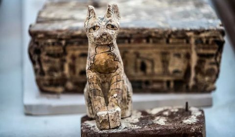 Pada 2004 lalu, tim dari Prancis menemukan kerangka singa di Saqqara. Sekitar 2.600 tahun lalu, tempat itu digunakan untuk upacara pemujaan untuk dewi kucing Bastet dan puttanya, dewa singa Miysis.