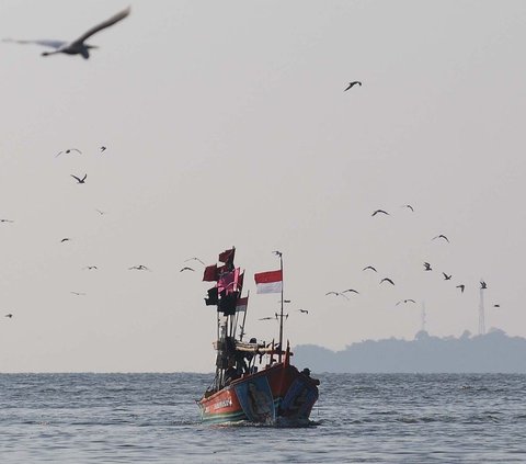 Proyek reklamasi di teluk Jakarta berdampak pada banyak hal, salah satunya membuat hidup nelayan Muara Angke semakin susah.