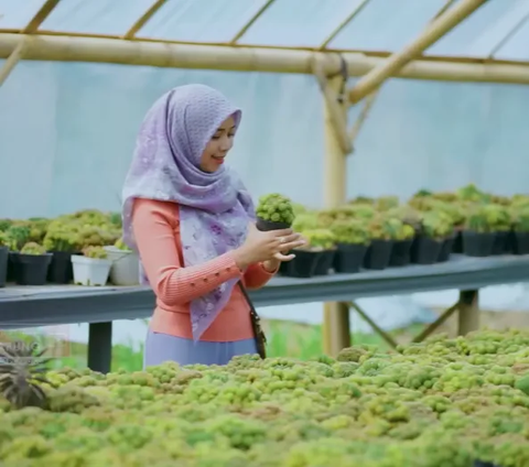 Dulu Ngontrak, Berkat Kerja Keras Wanita Ini Kini Miliki Rumah Mewah Hasil dari Bertani
