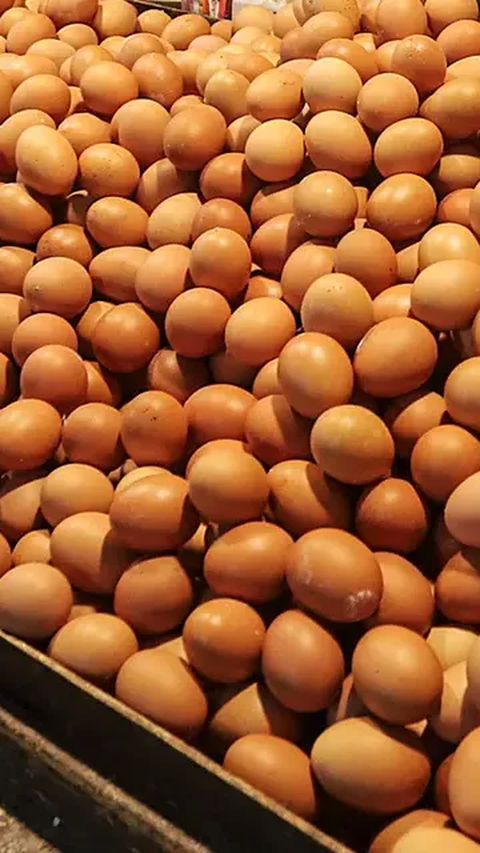 Terkait harga telur yang masih tinggi, Zulhas mengaku perlu waktu. 