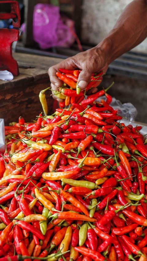 Menurutnya, harga cabai yang terlalu murah justru akan merugikan para petani.