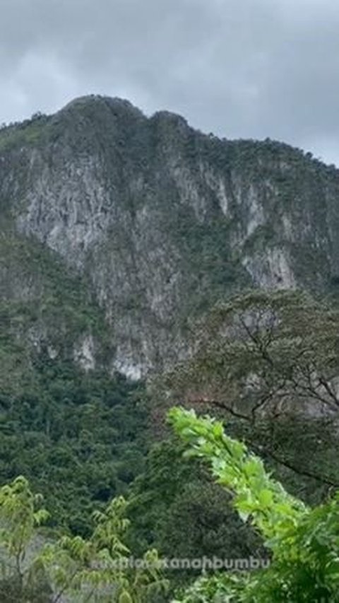 Mapala Instiper Yogyakarta Lakukan Ekspedisi ke Kalimantan, Rintis Jalur Menuju Puncak Tebing Baturaya