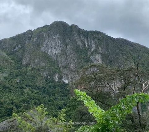 Mapala Instiper Yogyakarta Lakukan Ekspedisi ke Kalimantan, Rintis Jalur Menuju Puncak Tebing Baturaya