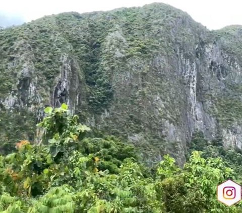 Mapala Instiper Yogyakarta Lakukan Ekspedisi ke Kalimantan, Rintis Jalur Menuju Puncak Tebing Baturaya