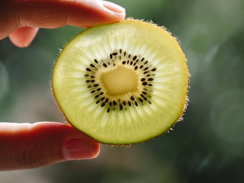 3. Kiwi