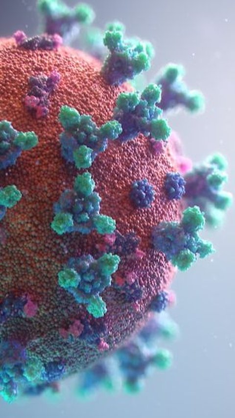 Gejala Echovirus-11 dan Cara Penularannya, Virus yang Banyak Menyerang Bayi