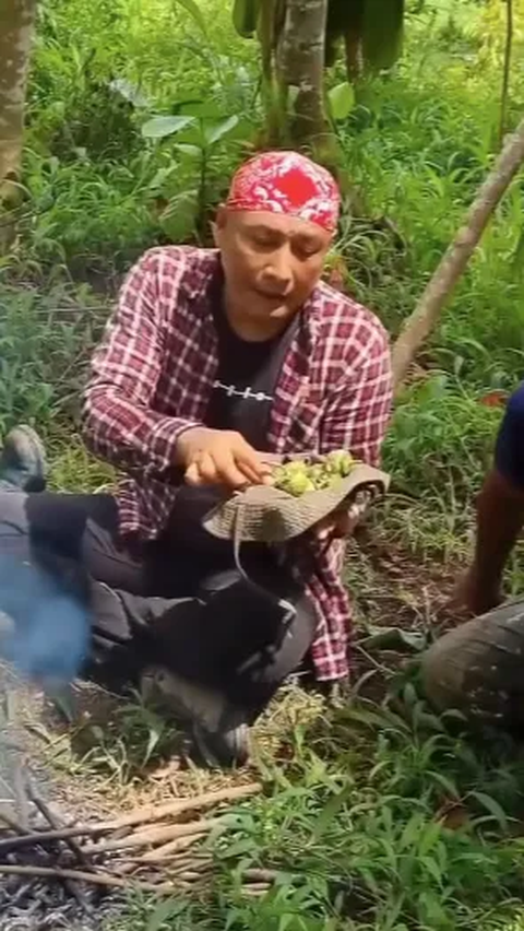 Kelaparan di Hutan dua Pria Ini Makan Kecubung, Begini Reaksinya Bikin Kaget