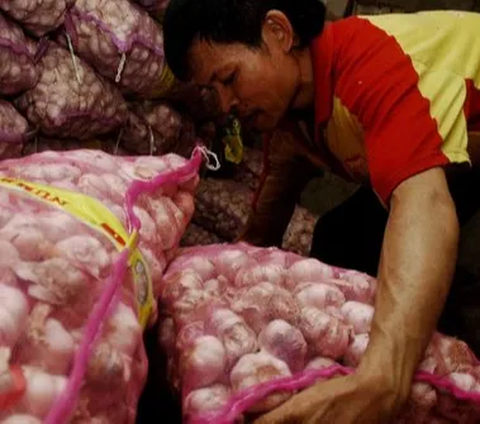 Indonesia Jalin Kerja Sama Produksi Bawang dengan Taiwan, Provinsi Sumut Jadi Percontohan