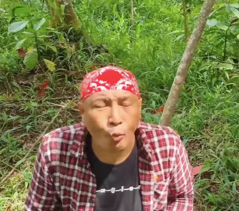 Kelaparan di Hutan dua Pria Ini Makan Kecubung, Begini Reaksinya Bikin Kaget