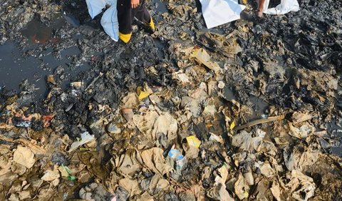 Beredar video di media sosial yang memperlihatkan hamparan tumpukan sampah di salah satu bibir Pantai Mangrove Muara Angke, Penjaringan, Jakarta Utara.