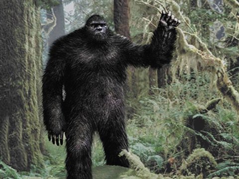 Kerabat Dekat Bigfoot Akhirnya Ditemukan, Dulu Ada di Asia Tenggara