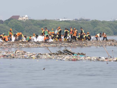 FOTO: Viral di Medsos, Ini Penampakan Tumpukan Sampah di Pantai Mangrove Muara Angke yang Bikin Miris