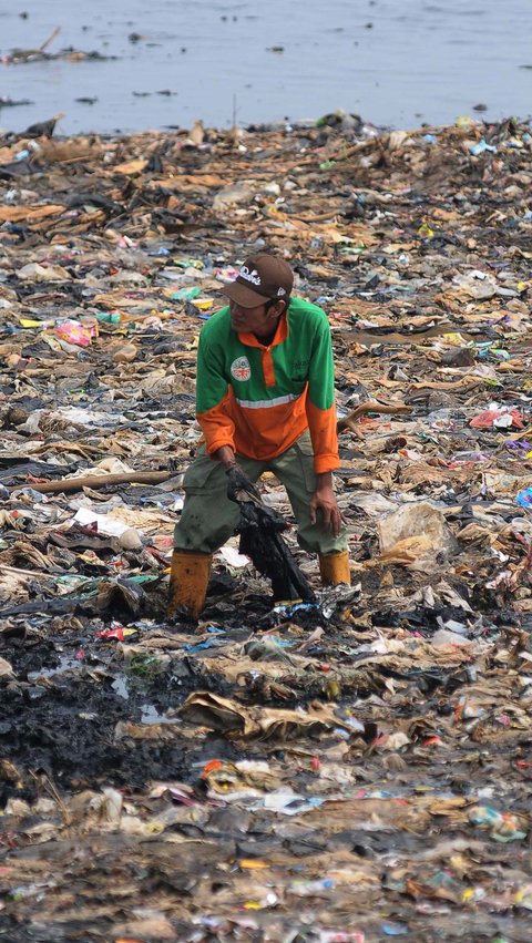 Tumpukan sampah ini membuat kawasan pesisir Jakarta Utara tersebut terlihat kumuh. Ditambah, kondisi air laut di kawasan tersebut tampak menghitam.