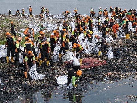 FOTO: Viral di Medsos, Ini Penampakan Tumpukan Sampah di Pantai Mangrove Muara Angke yang Bikin Miris