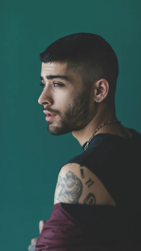 Sejak memutuskan untuk hengkang, penyanyi yang bernama lengkap Zain Javadd Malik ini merupakan anggotan One Direction yang memulai solo karirnya dengan menelurkan album perdana yang berjudul Mind of Mine tahun 2016 dengan single Pillowtalk.