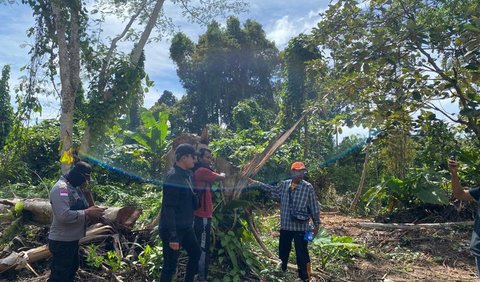 Kaum Saogo ini adalah orang yang sebelumnya diberi mandat Kaum Sakerebeu untuk mengurus tanah tersebut.