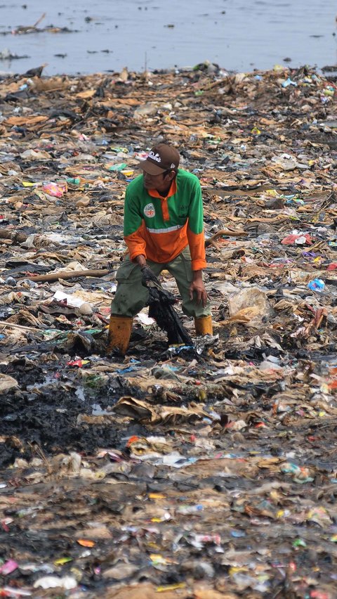 FOTO: Viral di Medsos, Ini Penampakan Tumpukan Sampah di Pantai Mangrove Muara Angke yang Bikin Miris