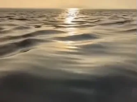 Penampakan Laut yang Aneh Terekam Kamera Pria ini, Bagai Masuk ke Dunia Lain