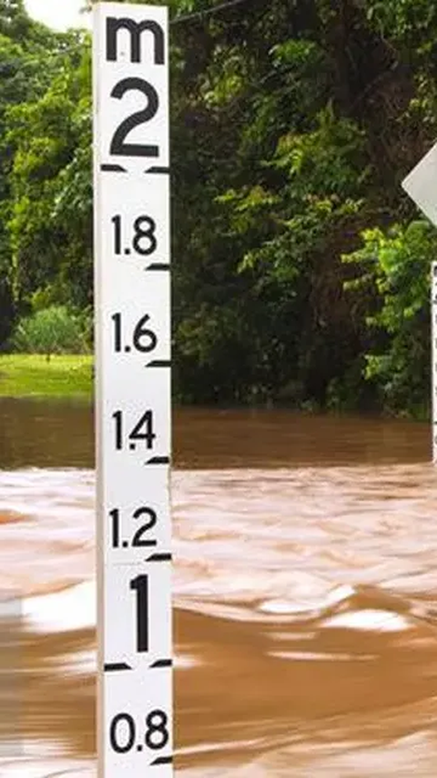 Sementara di Kabupaten Pasaman Barat juga terjadi banjir dan sekitar 350 rumah terendam. 