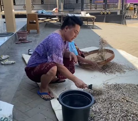 Potret Merry Saat di Kampung Halaman Panen Kacang Hijau Sampai Bersihkan Makam Umum