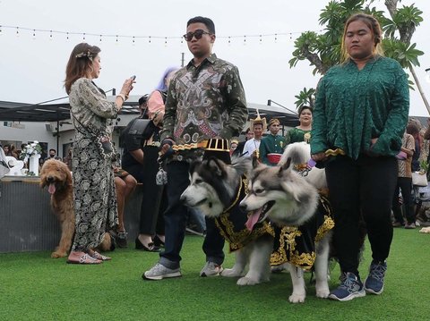 FOTO: Mewahnya Pernikahan Anjing di Jakarta Habiskan Rp200 Juta, Ada Pemberkatan dan Resepsi