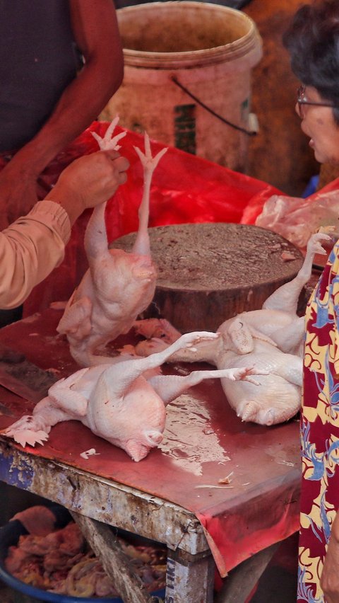 Harga Ayam Potong Tembus Rp90 Ribu, Pemprov DKI Bakal Lakukan Ini