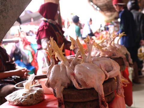 Harga Ayam Potong Tembus Rp90 Ribu, Pemprov DKI Bakal Lakukan Ini